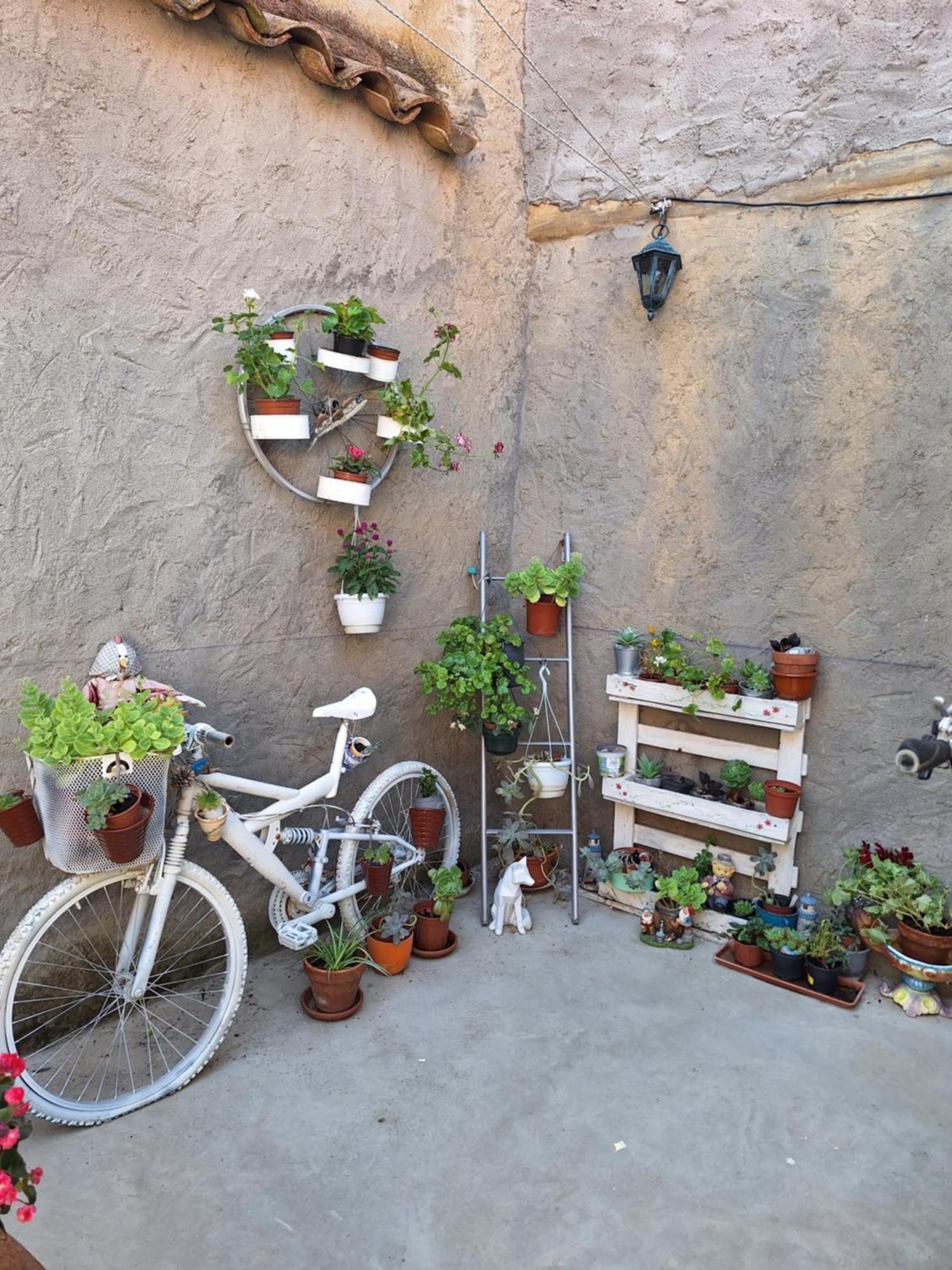 Willa Casa Pita Siente Paz Y Calma En Un Lugar Con Encanto Bbc Btt Ninos Pets San Justo de la Vega Zewnętrze zdjęcie